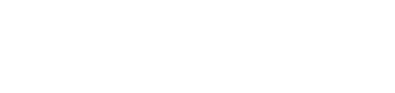 Pineo logo white